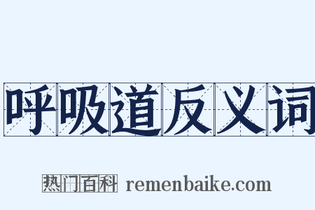 呼吸道反义词是什么意思的图片